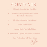 Birth & Postpartum E-Book